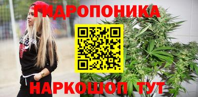 гидропоника Гусь-Хрустальный