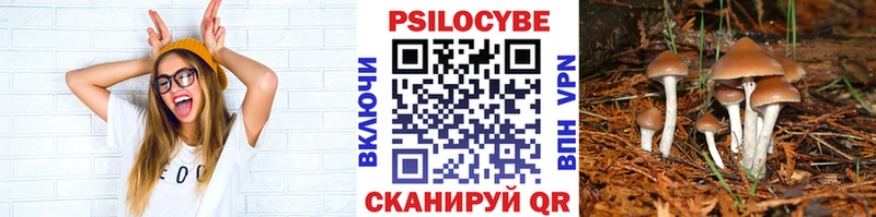 магазин  наркотиков  shop Telegram  Псилоцибиновые грибы GOLDEN TEACHER  Красноперекопск 