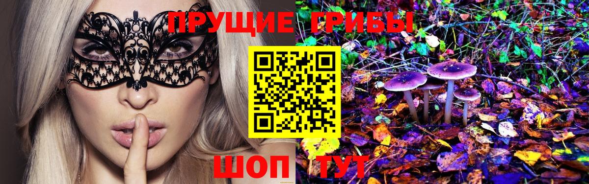 Псилоцибиновые грибы GOLDEN TEACHER Красноперекопск