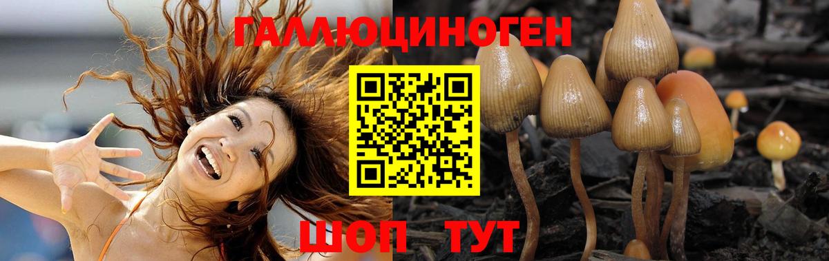 Псилоцибиновые грибы мицелий  Вход с VPN  Красноперекопск 